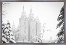 Load image into Gallery viewer, Salt Lake City High Key Snow
