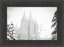 Load image into Gallery viewer, Salt Lake City High Key Snow
