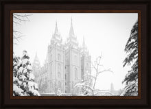 Load image into Gallery viewer, Salt Lake City High Key Snow
