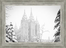 Load image into Gallery viewer, Salt Lake City High Key Snow
