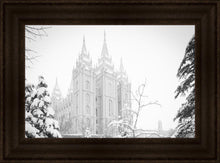 Load image into Gallery viewer, Salt Lake City High Key Snow

