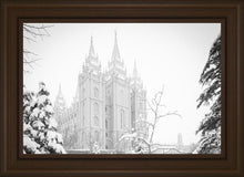 Load image into Gallery viewer, Salt Lake City High Key Snow
