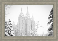 Load image into Gallery viewer, Salt Lake City High Key Snow
