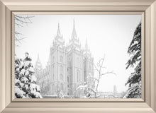 Load image into Gallery viewer, Salt Lake City High Key Snow
