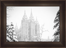 Load image into Gallery viewer, Salt Lake City High Key Snow
