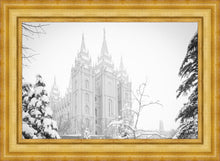 Load image into Gallery viewer, Salt Lake City High Key Snow

