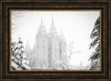 Load image into Gallery viewer, Salt Lake City High Key Snow
