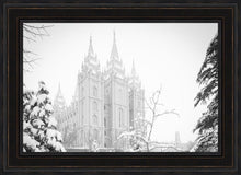 Load image into Gallery viewer, Salt Lake City High Key Snow
