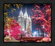 Load image into Gallery viewer, Salt Lake City Christmas Lights
