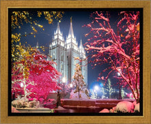 Load image into Gallery viewer, Salt Lake City Christmas Lights
