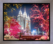 Load image into Gallery viewer, Salt Lake City Christmas Lights
