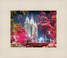 Load image into Gallery viewer, Salt Lake City Christmas Lights
