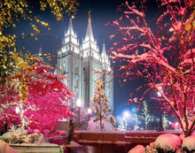 Load image into Gallery viewer, Salt Lake City Christmas Lights
