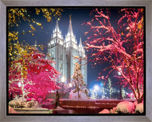 Load image into Gallery viewer, Salt Lake City Christmas Lights
