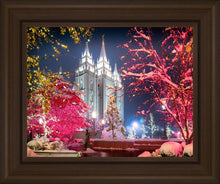Load image into Gallery viewer, Salt Lake City Christmas Lights

