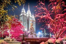 Load image into Gallery viewer, Salt Lake City Christmas Lights
