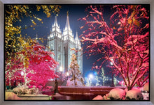 Load image into Gallery viewer, Salt Lake City Christmas Lights
