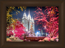 Load image into Gallery viewer, Salt Lake City Christmas Lights
