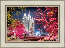 Load image into Gallery viewer, Salt Lake City Christmas Lights
