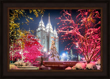 Load image into Gallery viewer, Salt Lake City Christmas Lights
