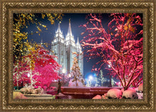 Load image into Gallery viewer, Salt Lake City Christmas Lights
