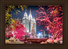 Load image into Gallery viewer, Salt Lake City Christmas Lights
