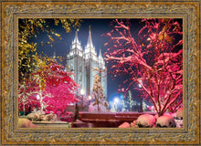 Load image into Gallery viewer, Salt Lake City Christmas Lights
