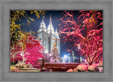 Load image into Gallery viewer, Salt Lake City Christmas Lights
