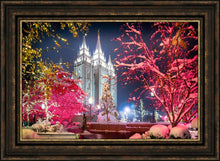 Load image into Gallery viewer, Salt Lake City Christmas Lights
