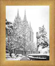 Load image into Gallery viewer, Salt Lake White Christmas
