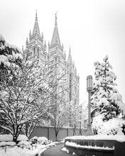 Load image into Gallery viewer, Salt Lake White Christmas
