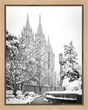 Load image into Gallery viewer, Salt Lake White Christmas
