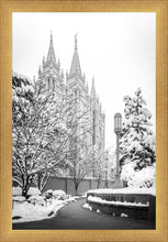 Load image into Gallery viewer, Salt Lake White Christmas
