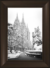 Load image into Gallery viewer, Salt Lake White Christmas
