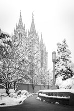 Load image into Gallery viewer, Salt Lake White Christmas
