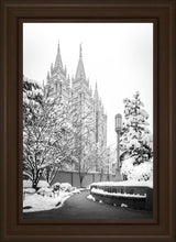 Load image into Gallery viewer, Salt Lake White Christmas
