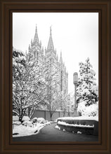Load image into Gallery viewer, Salt Lake White Christmas
