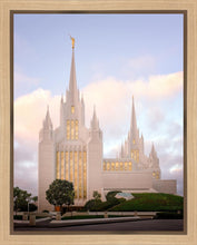 Load image into Gallery viewer, San Diego Pastel
