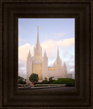 Load image into Gallery viewer, San Diego Pastel
