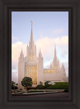 Load image into Gallery viewer, San Diego Pastel
