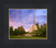 Load image into Gallery viewer, Seattle Evening Panorama
