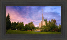 Load image into Gallery viewer, Seattle Evening Panorama
