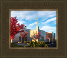 Load image into Gallery viewer, Snowflake Vivid Autumn
