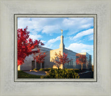 Load image into Gallery viewer, Snowflake Vivid Autumn
