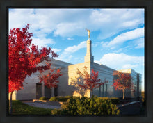 Load image into Gallery viewer, Snowflake Vivid Autumn
