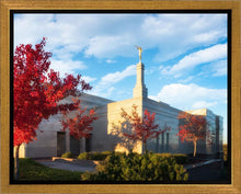 Load image into Gallery viewer, Snowflake Vivid Autumn
