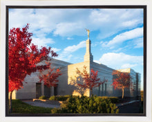 Load image into Gallery viewer, Snowflake Vivid Autumn
