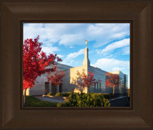 Load image into Gallery viewer, Snowflake Vivid Autumn
