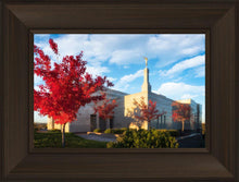 Load image into Gallery viewer, Snowflake Vivid Autumn

