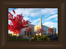 Load image into Gallery viewer, Snowflake Vivid Autumn
